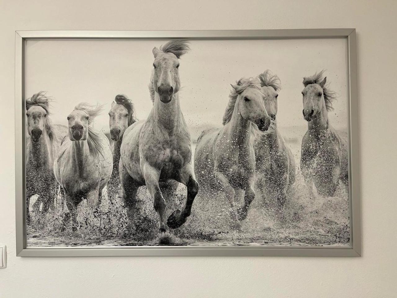 Ostoya Roztocze Hotel Szczebrzeszyn Bagian luar foto